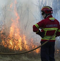 Nove concelhos de três distritos em perigo máximo de incêndio