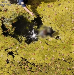 Polícia usa drone para localizar criança autista presa em lago nos EUA 