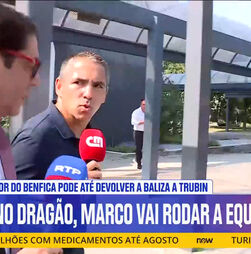 Rui Costa antes do jogo com o Milan: 'O Benfica vai lutar pelos objetivos que tem'