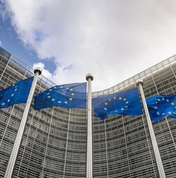 Conservadores Europeus querem pedir proibição de aliança política que inclui BE