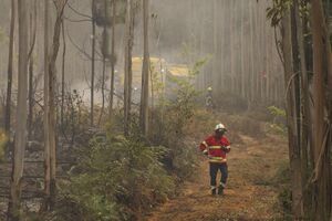 IPMA prevê perigo muito elevado