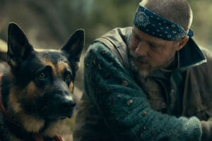 Este é o ano das estrelas caninas no cinema! Conheça o Uber, o cão que brilha ao lado de Brad Pitt em "Heróis Inseparáveis"