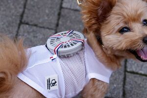 Fatos com ar condicionado? No Japão, os casacos com ventoinha estão a conquistar os donos de cães