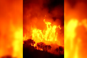 Incêndio ameaça zona turística no sul da Albânia