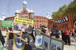 Manifestação em Lisboa pelos direitos dos animais na praça do Campo Pequeno