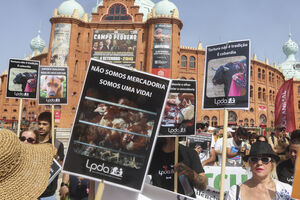 Manifestação em Lisboa pelos direitos dos animais em frente à Praça de Touros do Campo Pequeno