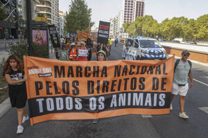 Manifestação em Lisboa pelos direitos de todos os animais