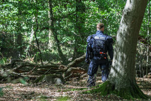 Polícia alemã faz buscas na Floresta de Hambach após tentativa de sabotagem da rede elétrica