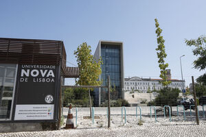 Há uma guerra de poder na Universidade Nova de Lisboa