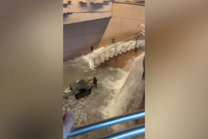 Imagens mostram ruas da cidade japonesa de Nagoya transformadas em rios após precipitação recorde