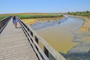 A Lagoa dos Salgados no concelho de Silves