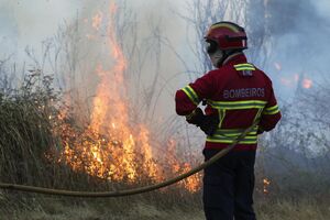 Bombeiros durante o combate ao incêndio florestal 