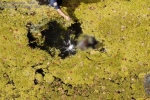 Polícia usa drone para localizar criança autista presa em lago nos EUA 