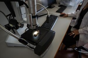 Segundo comunicado da FCUP, esta enzima é proveniente de uma bactéria encontrada em amostras de composto orgânico da Dinamarca e destacou-se "pela sua capacidade de degradar o poliuretano".