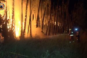 Raio terá provocado incêndio em Valência em noite de tempestade
