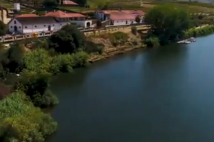 Portugal Que Conta ruma a norte: viagem ao museu do Douro e um roteiro de enoturismo 