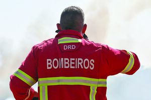 Foram mobilizados 711 operacionais, apoiados por 223 veículos