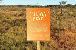 Esqueça o Coachella! Na Finlândia há o "Quietchella", o festival onde o cartaz é feito de sons da natureza