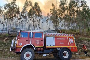Bombeiros combatem incêndio florestal