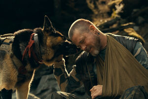 A relação entre James Belmont (Brad Pitt) e o cão Odin (Uber) está no centro deste novo filme