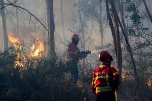 Bombeiros combatem o incêndio florestal 