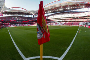 Benfica, bandeira