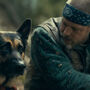 Este é o ano das estrelas caninas no cinema! Conheça o Uber, o cão que brilha ao lado de Brad Pitt em 'Heróis Inseparáveis
