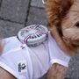 Fatos com ar condicionado? No Japão, os casacos com ventoinha estão a conquistar os donos de cães