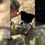 Exército checo realiza treino para detetar e neutralizar drones