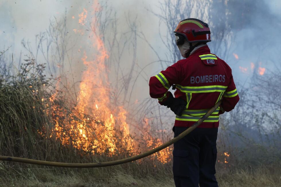 Bombeiros durante o combate ao incêndio florestal 