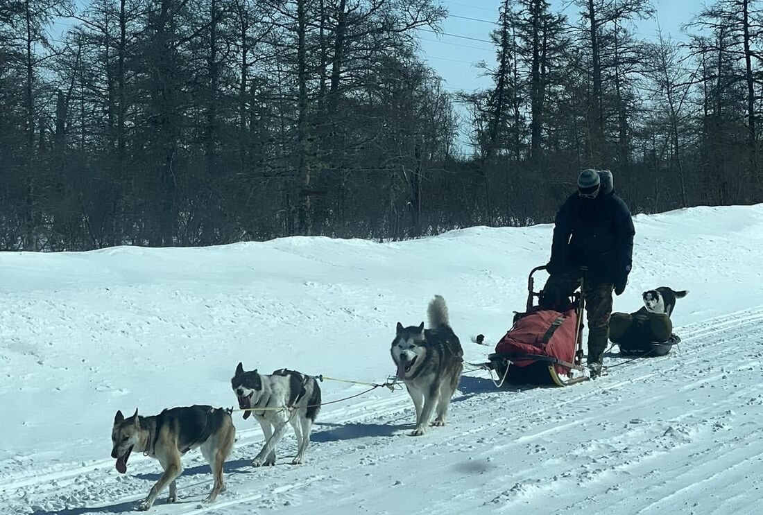 Steffen Skjottelvik e os seus cães em abril de 2023
