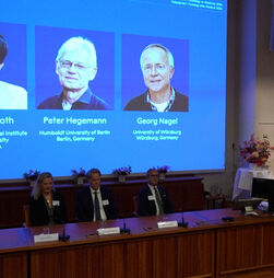 Três cientistas conquistam Nobel da Medicina pela investigação que revolucionou o estudo do cérebro