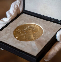 Nobel da Química atribuído a investigadores pelo trabalho nos efeitos não-lineares e autocatálise