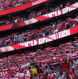 Benfica arranca renumeração de sócios: quotas em atraso podem ditar exclusões a partir de 12 de novembro