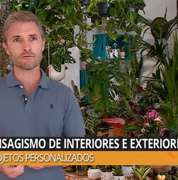 Guia Para Sair na Ericeira 