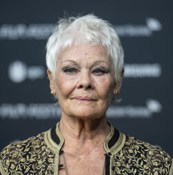 'Não consigo ver. Não consigo ler': doença de visão afasta Judi Dench da representação
