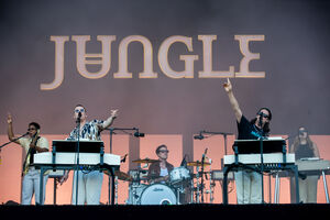 Jungle em Lisboa, Chefs on Fire no Douro: 8 ideias para este fim de semana