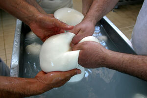 Produção de queijo mozzarella