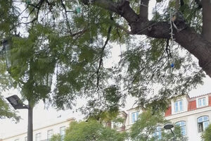 Manifestantes chegam à Praça do Rossio com cantigos contra o Governo, especialmente contra o primeiro-ministro. “Montenegro presta atenção, as tuas casas vão virar ocupação”