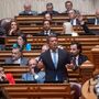Chega defende que 'a solução para a habitação é a remigração'