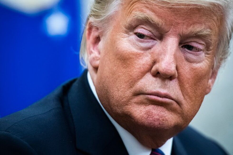 Donald Trump xxx