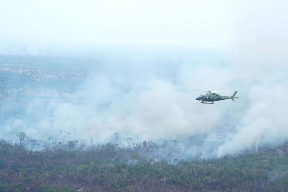 Incêndios na Amazónia levantam suspeitas de ação coordenada